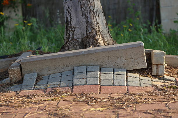 Raised Sidewalk Sidewalk, footpath, footway made of paving stones that came up because of tree roots in front of the tree trunk. kerbstone stock pictures, royalty-free photos & images