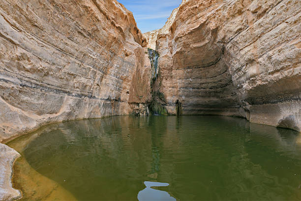 istock Clean cold water in the creek canyon 517901581