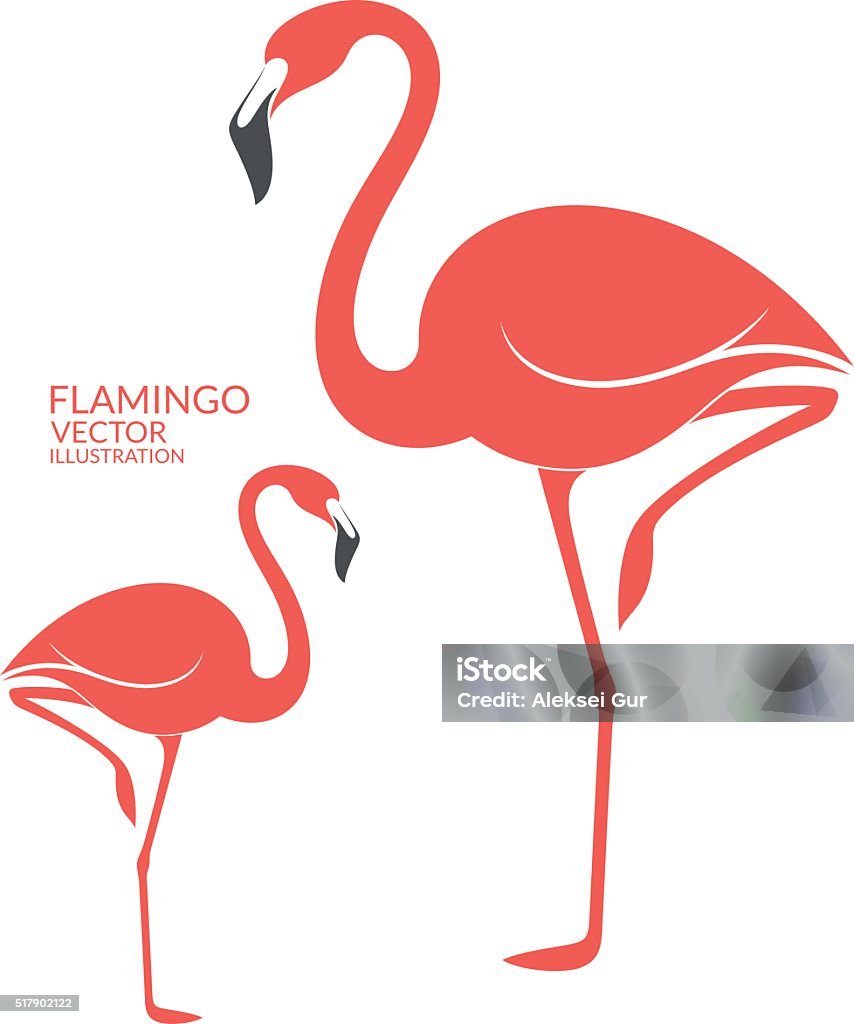 Flamingo Cd R Flamingo Stock Illustration - Download Image Now - Flamingo, Abstract ...