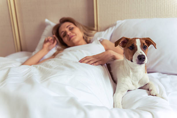 istock Beautiful girl with dog 517902738