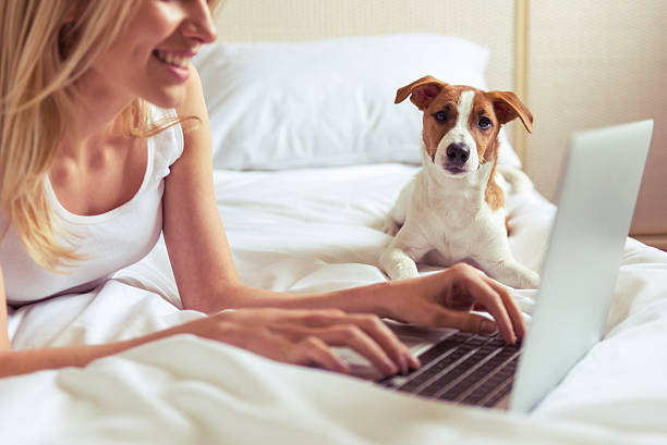 istock Beautiful girl with dog 517903054