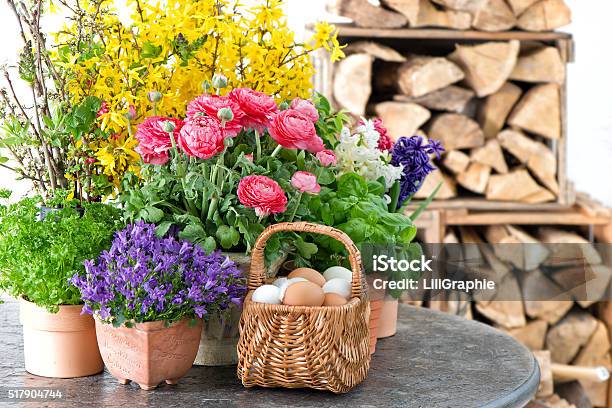 Spring Flowers And Easter Eggs Decoration Stock Photo - Download Image Now - Arrangement, Beauty In Nature, Blossom
