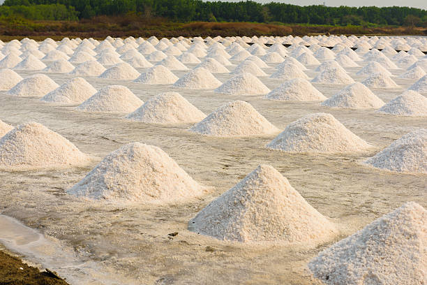 istock salt farming in Thailand 517904898
