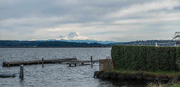 istock Lake Washington And Mount Rainier 2 517906398