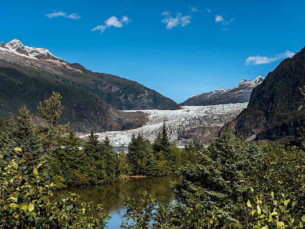 istock Mendenhall Glacier Wide Forest View 517906640