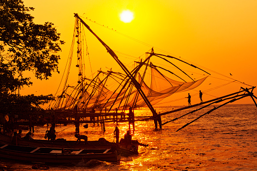 Kochi, Kerala, India - March 19, 2015. A group of fishermen working a Chinese fishing net at sunset in Kochi, India.