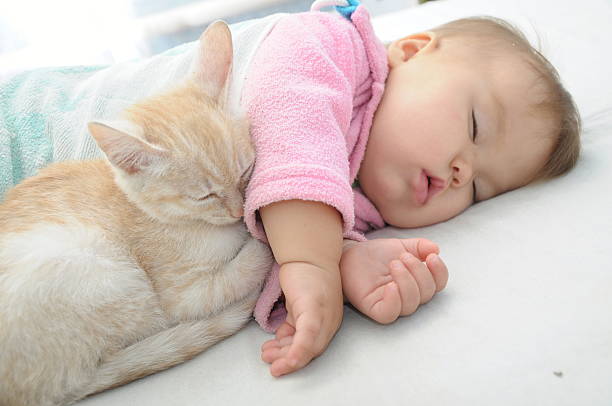 istock Baby and cat sleeping together 517923957