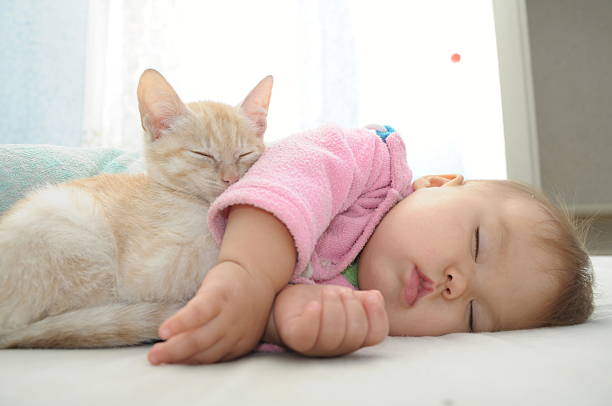 istock Baby and cat daytime sleeping 517923963