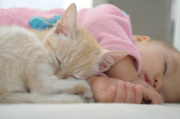 istock Baby and cat daytime sleeping together 517924143