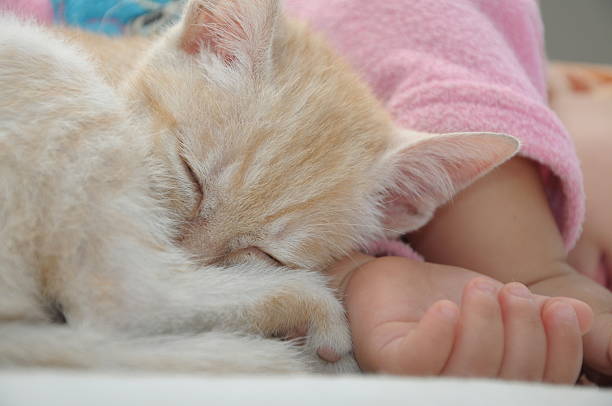 istock Baby and cat sleeping together nap 517924145