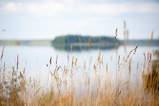 Autumn landscape with lake