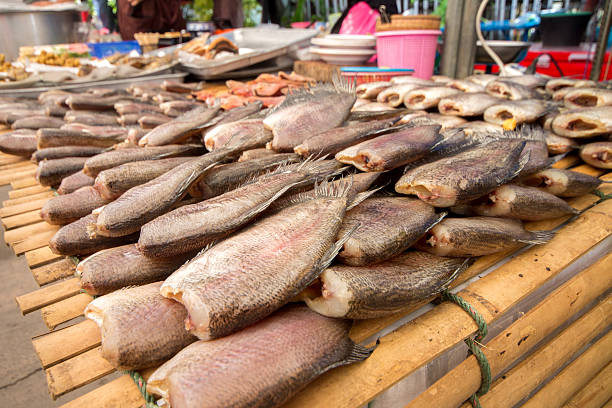 istock the salt fish from the thailand 517925705