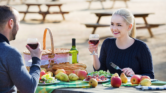Loving  smiling couple drinking wine and talking on picnic