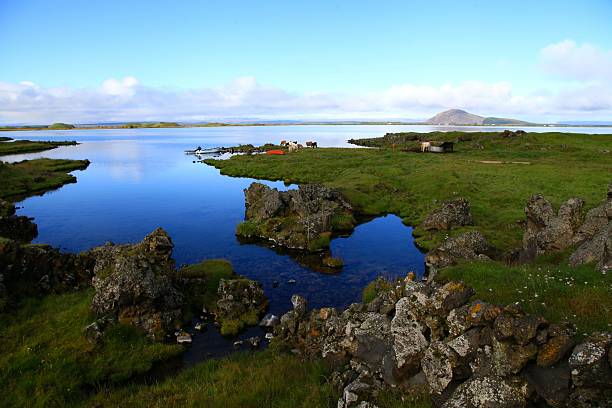 istock North Seymour Island 517926315