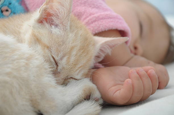 istock Baby and cat daytime sleeping 517928189
