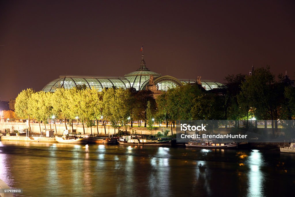 Glowing Night Palace The Grand Palais in Paris at night and across the Seine  Grand Palais Stock Photo