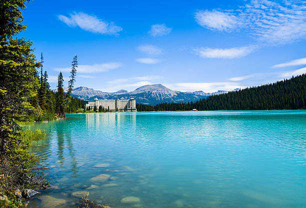 lake louise - lake louise national park landscape forest - fotografias e filmes do acervo