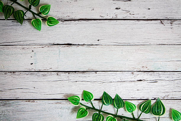 istock flowers on wooden background 517931406