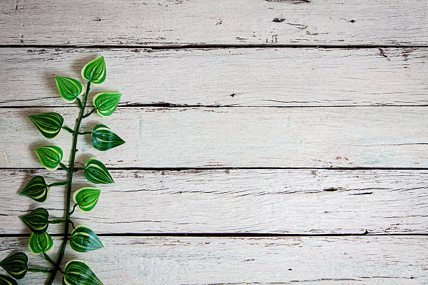 istock flowers on wooden background 517931650