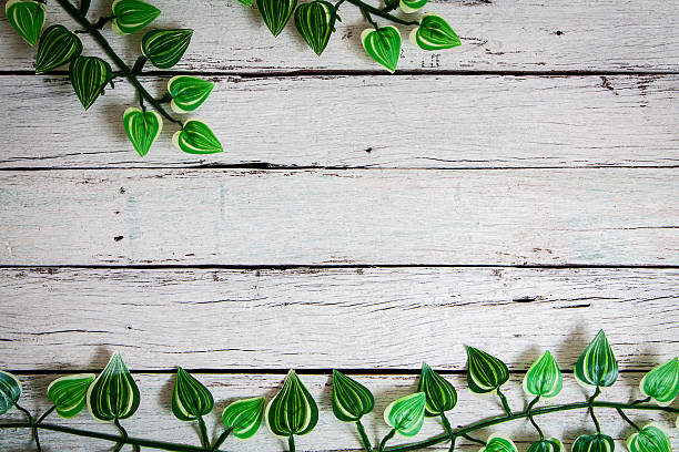 istock flowers on wooden background 517931822