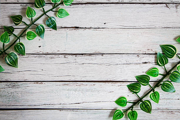 istock flowers on wooden background 517931986