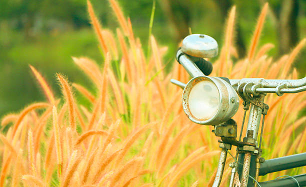 istock Vintage bicycle with wild flowers 517933464