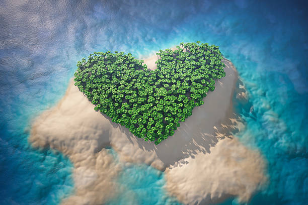 istock Tropical Island in Ocean with Trees as Heart 517934242