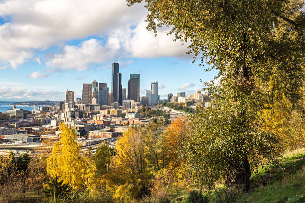 istock cityscape and skyline of seattle 517936206