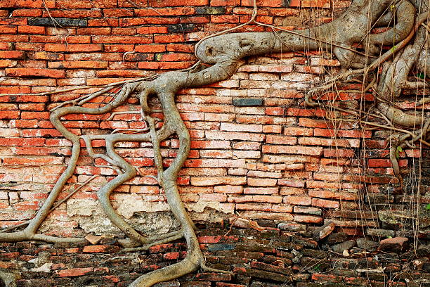 istock The old vintage brick wall background. 517936726
