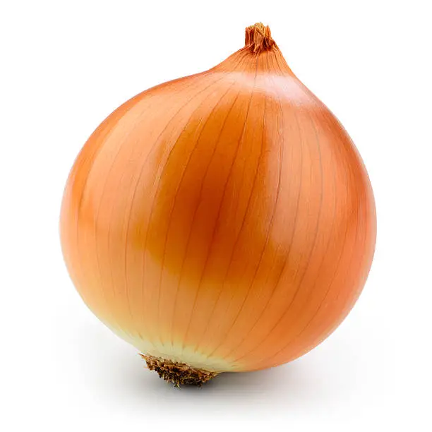 Photo of Fresh onion bulb isolated on white. With clipping path.