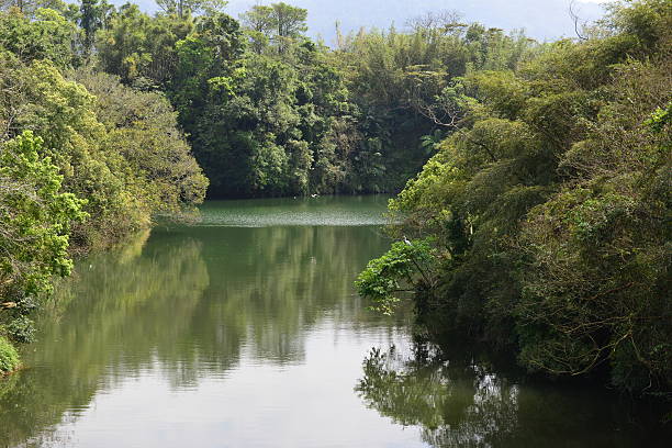 istock Here is the little-known wetlands 517938656