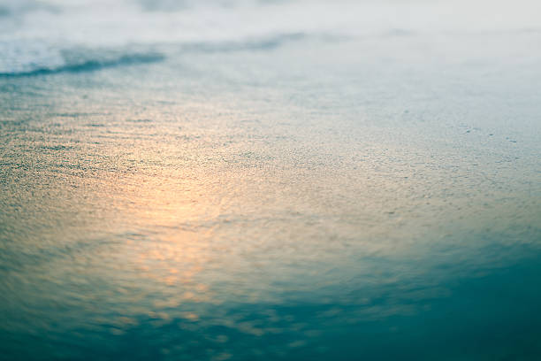 Abstract image of ocean wave on beach at sunset Abstract horizontal photo of ocean and small wave on beach at sunset. Actual tilt/shift lens used to exaggerate blur. spume stock pictures, royalty-free photos & images