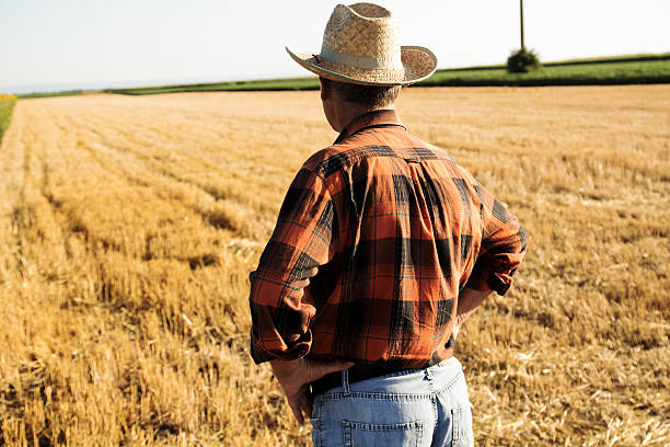 istock Senior farmer sitting on field 517939270
