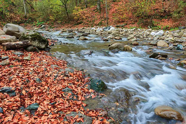 Autumn on the river Kuban, Kizinka,  Кавказ, Россия