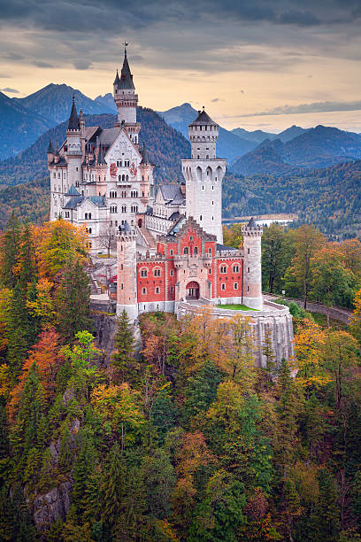zamek neuschwanstein, niemcy. - allgau germany bavaria european alps zdjęcia i obrazy z banku zdjęć