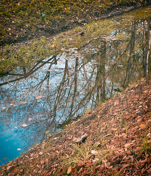 istock Creek, Italy 517956261