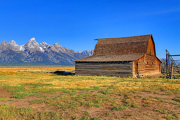 istock Mormon Row Barn in the Grand Tetons 517959371