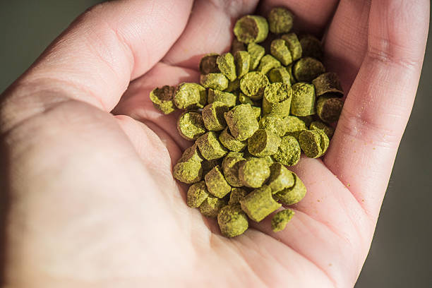 istock Pellet hops in a palm of a hand 517962430