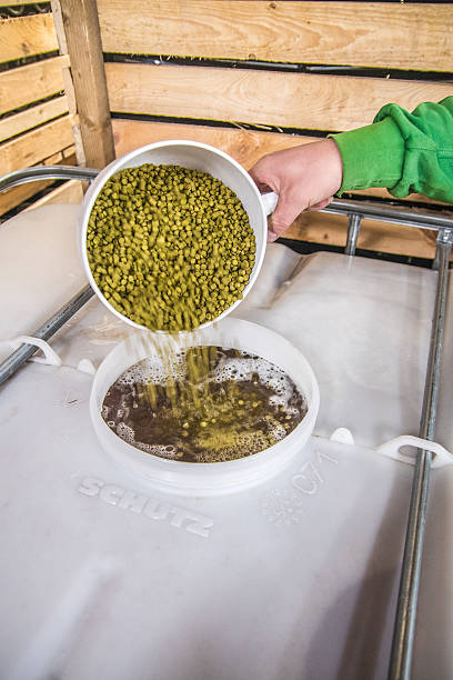 istock Pouring pellet hops into IBC tank 517963690