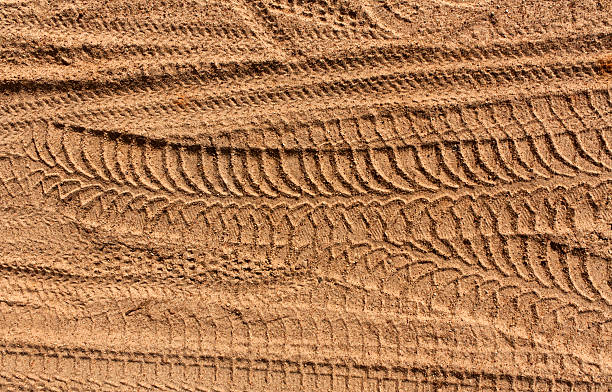 Photo of Tire tracks on sand.