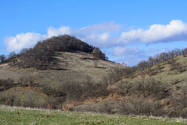 istock Beautiful forest, meadows and trees in the spring, Bulgaria 517968292