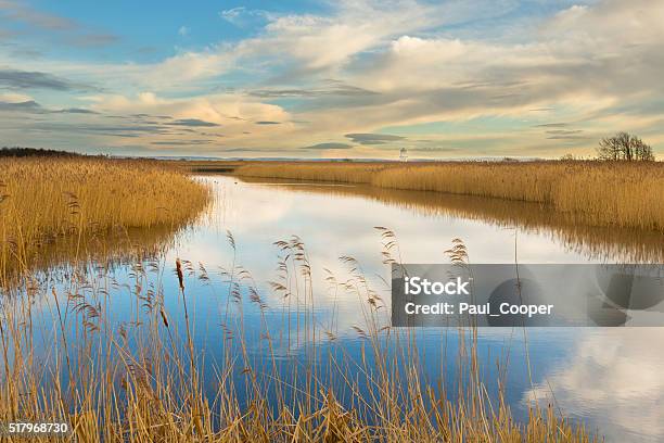 Rspb Reserve Newport Wetlands Newport Wales Stock Photo - Download Image Now - Newport - Wales, Swamp, Wildlife Reserve