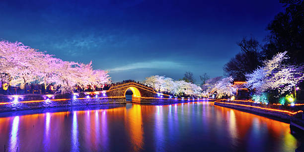Cherry Blossoms Lush Open Season