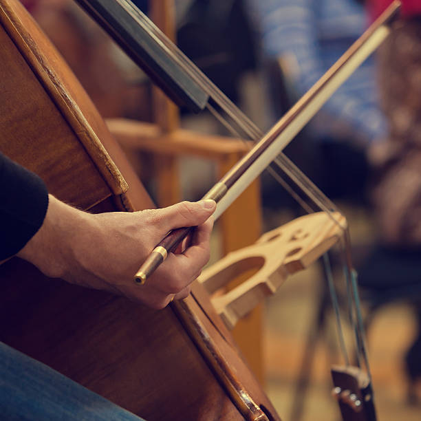 istock musician hand playing the double bass 517987906