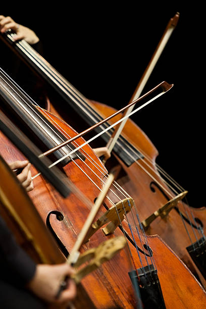 istock Basses in the symphony orchestra closeup 517988040