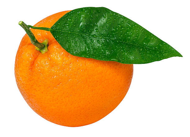istock Orange with leaf on white background with clipping path 517988386