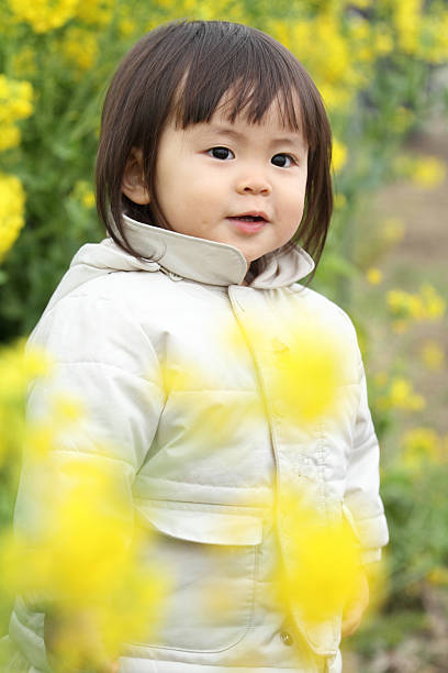 japonés (bebé niña de 1 año de edad) y amarillo campo de mostaza - mustard plant mustard field clear sky sky fotografías e imágenes de stock