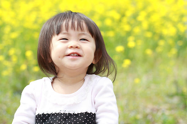 japonés (bebé niña de 1 año de edad) y amarillo campo de mostaza - mustard plant mustard field clear sky sky fotografías e imágenes de stock