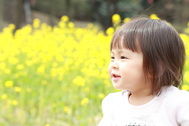 japonês bebê (1 ano de idade) e amarelo campo de mostarda - mustard plant mustard field clear sky sky - fotografias e filmes do acervo