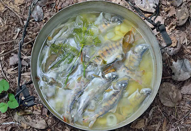 A fresh fish-soup in pot on nature.